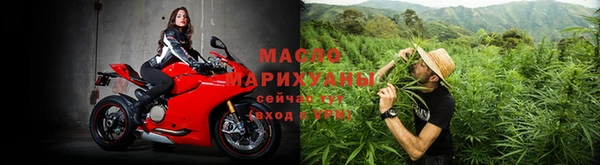 сатива Новодвинск