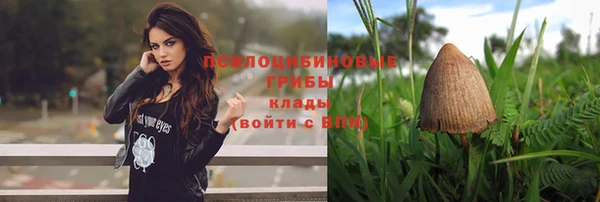 прущий лед Аркадак